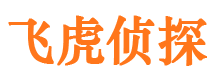 郯城外遇调查取证